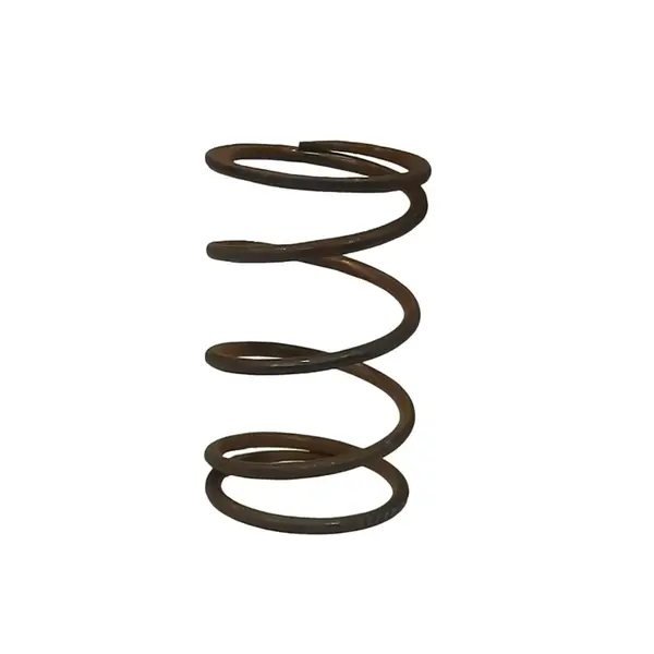 GENERAL switch coil spring