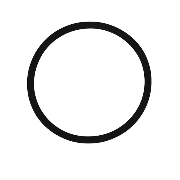 GENERIC FN250C piston stem oring