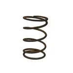 GENERAL switch coil spring