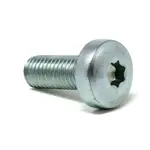 Lagler Flip belt tensioner lens head screw 7985.1006.816 P1214