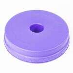 PROTEAM Vacuum Twist Cap (Purple)